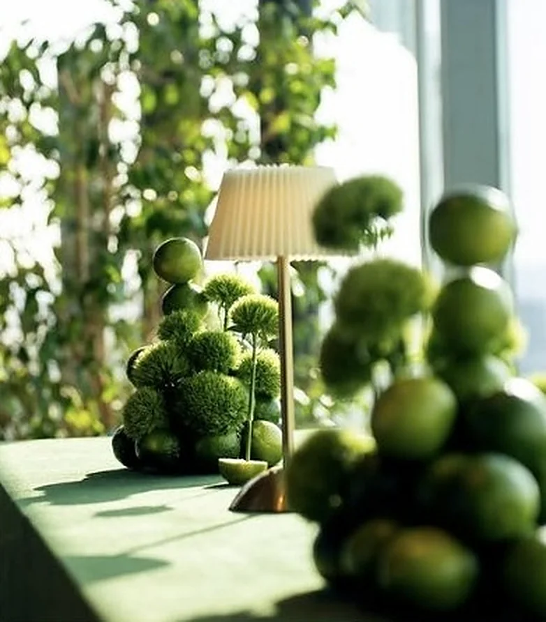 Limetten-Arrangement bei Tageslicht auf einer Rooftop-Location